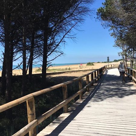 Appartamenti Furlan Bibione Zewnętrze zdjęcie